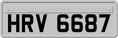 HRV6687