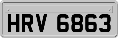 HRV6863