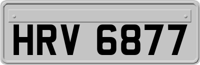 HRV6877