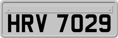 HRV7029