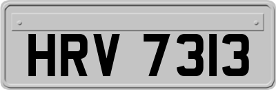 HRV7313