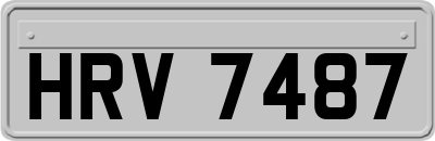 HRV7487