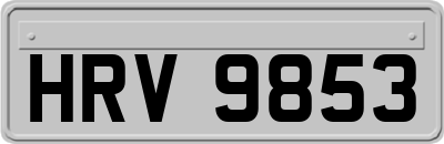 HRV9853