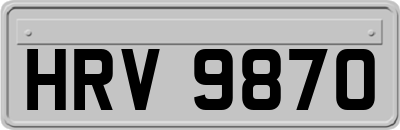 HRV9870