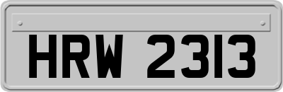HRW2313
