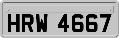 HRW4667