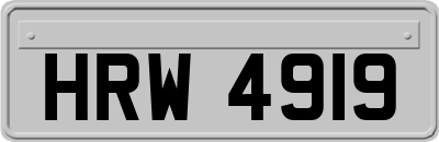 HRW4919