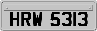 HRW5313