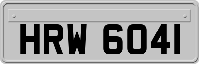 HRW6041