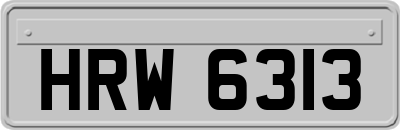 HRW6313
