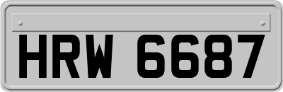 HRW6687