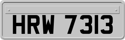 HRW7313