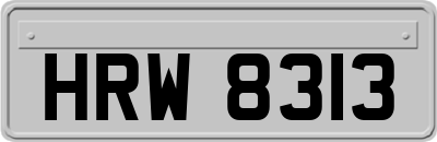 HRW8313