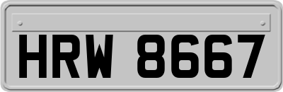 HRW8667