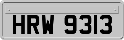 HRW9313