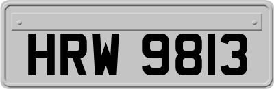 HRW9813