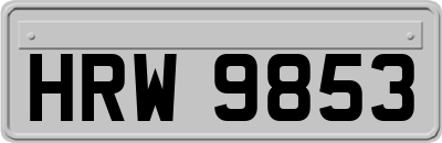 HRW9853