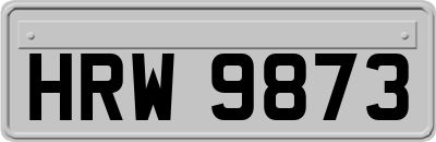 HRW9873