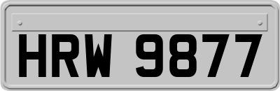 HRW9877