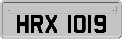 HRX1019