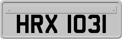 HRX1031