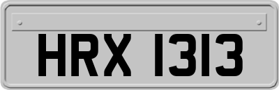 HRX1313