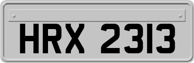 HRX2313