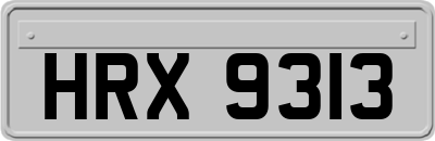 HRX9313