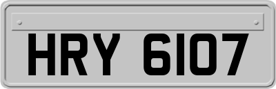 HRY6107