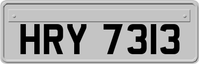 HRY7313