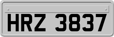 HRZ3837