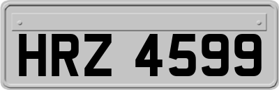 HRZ4599