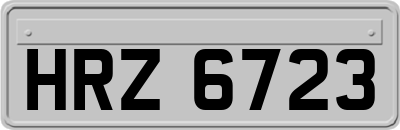 HRZ6723