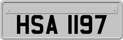 HSA1197