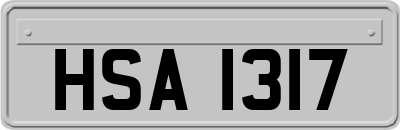 HSA1317