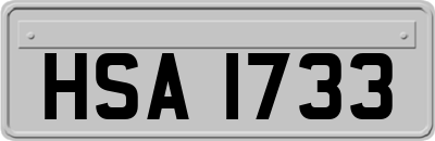 HSA1733