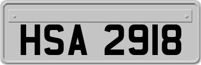 HSA2918