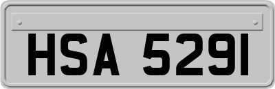 HSA5291