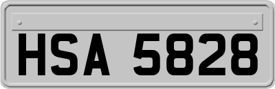 HSA5828