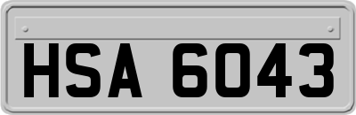 HSA6043
