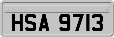 HSA9713