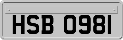 HSB0981