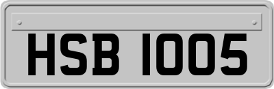 HSB1005