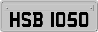 HSB1050