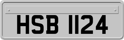 HSB1124