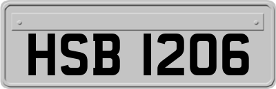 HSB1206