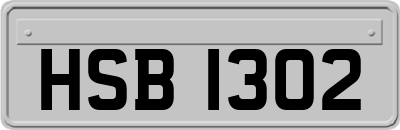 HSB1302