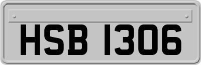 HSB1306