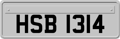 HSB1314