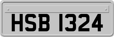 HSB1324